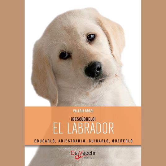 El labrador