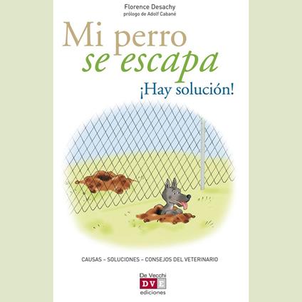 Mi perro se escapa ¡Hay solución!
