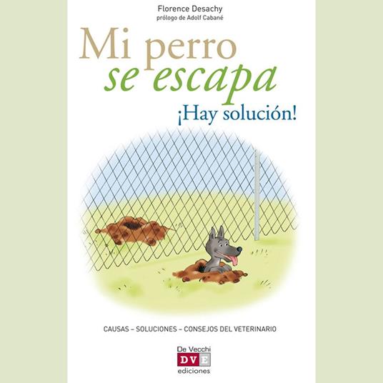 Mi perro se escapa ¡Hay solución!