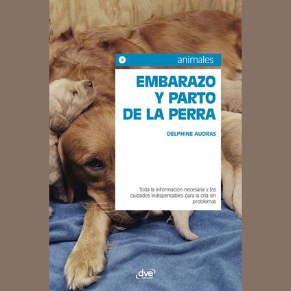 Embarazo y parto de la perra