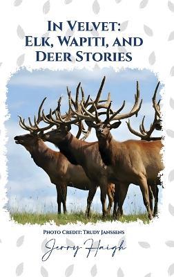 In Velvet - Jerry Haigh - cover