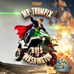 Mr Trumpix Goes To Washington