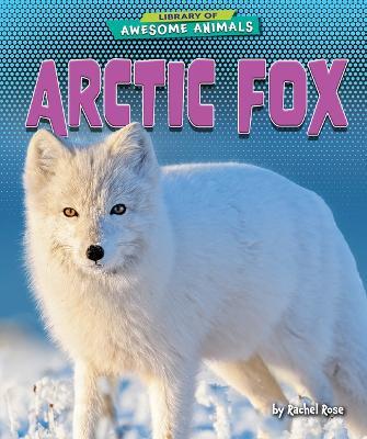 Arctic Fox - Rachel Rose - cover