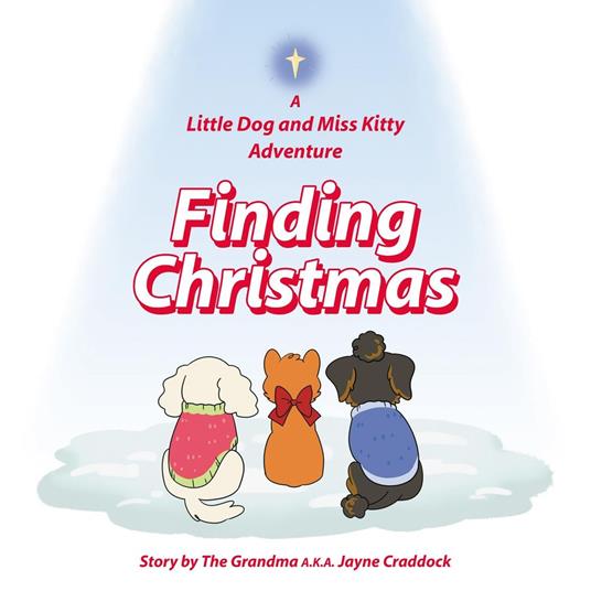 Finding Christmas - Jayne Craddock - ebook