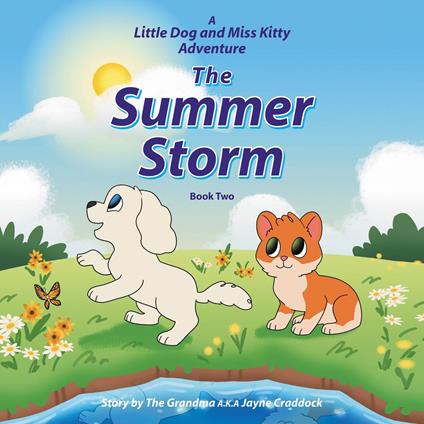 The Summer Storm - Jayne Craddock - ebook