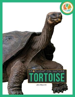 Tortoise - Jen Frantz - cover