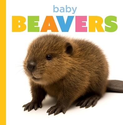 Baby Beavers - Graham Morgan - cover