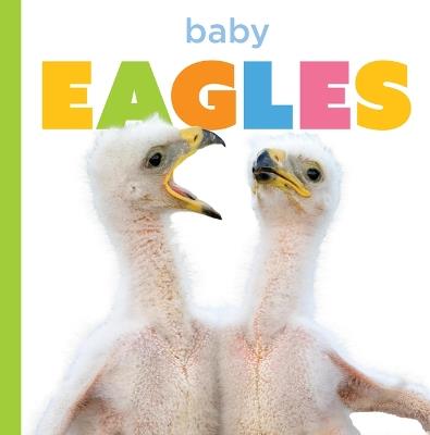 Baby Eagles - Graham Morgan - cover