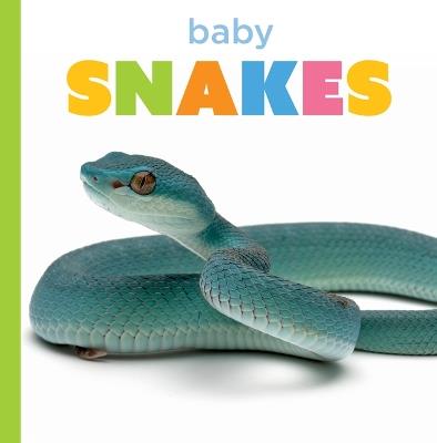 Baby Snakes - Graham Morgan - cover