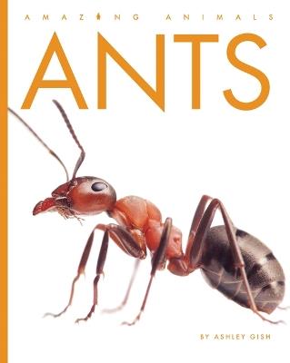 Ants - Ashley Gish - cover