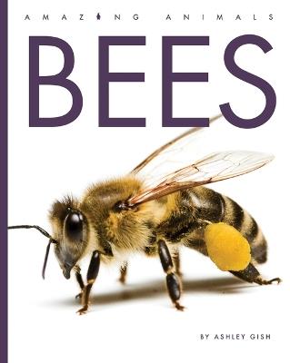 Bees - Ashley Gish - cover