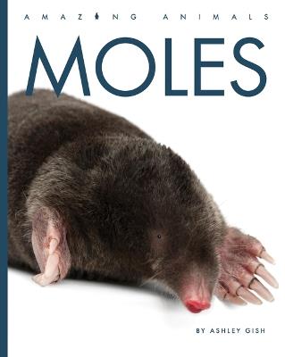 Moles - Ashley Gish - cover