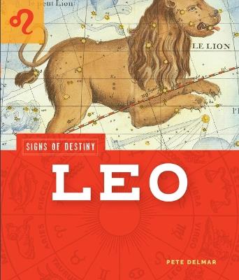 Leo - Pete Delmar - cover