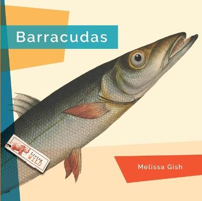 Barracudas - Melissa Gish - cover