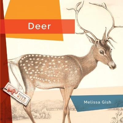 Deer - Melissa Gish - cover