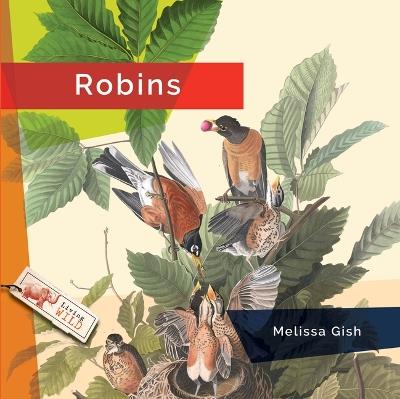 Robins - Melissa Gish - cover