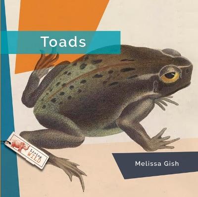 Toads - Melissa Gish - cover