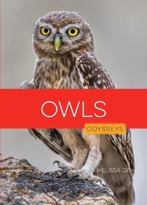 Owls - Melissa Gish - cover
