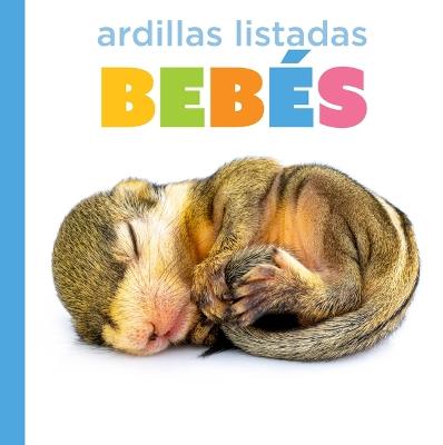 Ardillas Listadas Bebés - Graham Morgan - cover