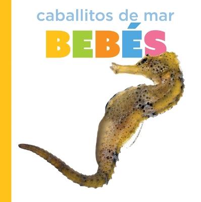 Caballitos de Mar Bebés - Graham Morgan - cover