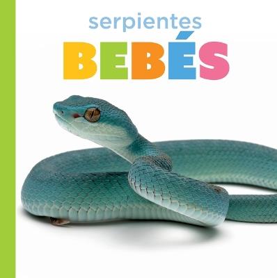 Serpientes Bebés - Graham Morgan - cover