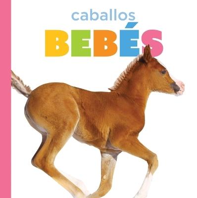 Caballos Bebés - Graham Morgan - cover