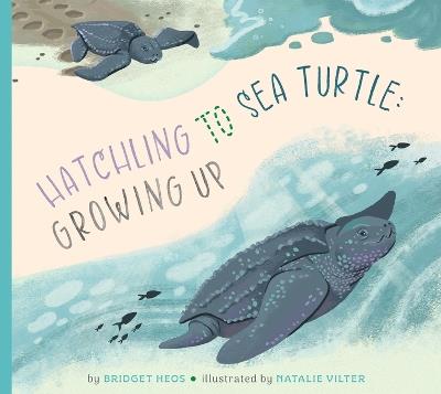 Hatchling to Sea Turtle: Growing Up - Bridget Heos - cover