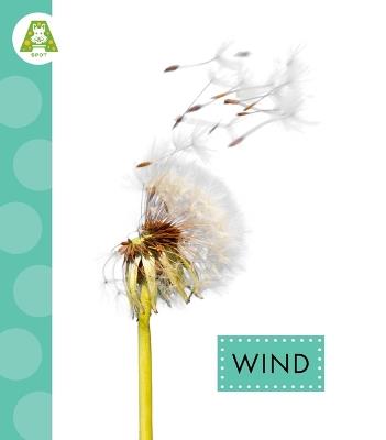 Wind - Anastasia Suen - cover