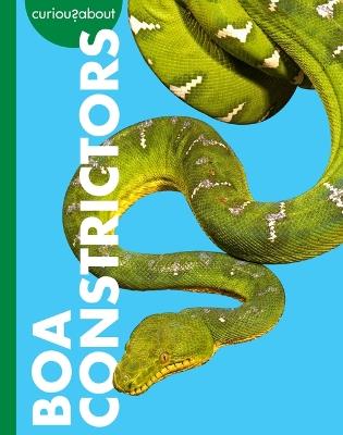 Curious about Boa Constrictors - Rachel Grack - cover