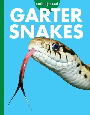 Curious about Garter Snakes - Rachel Grack - cover