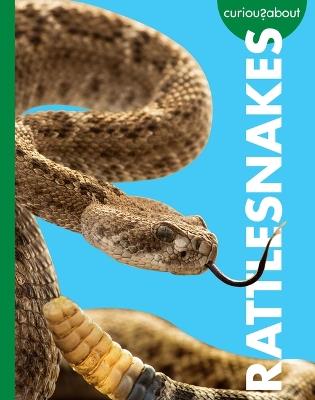 Curious about Rattlesnakes - Rachel Grack - cover
