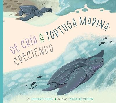 de la Cría a la Tortuga Marina: Creciendo - Bridget Heos - cover