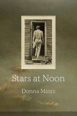 Stars at Noon - Donna Mintz - cover