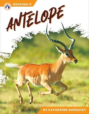 Antelope - Katherine Norquist - cover