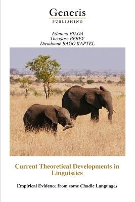 Current Theoretical Developments in Linguistics: Empirical Evidence from some Chadic Languages - Théodore Bebey,Dieudonné Bago Kaptel,Edmond Biloa - cover
