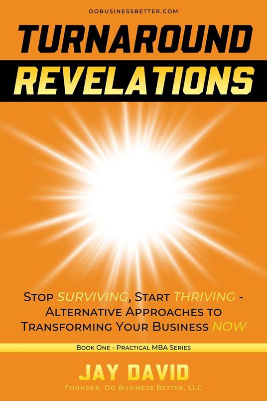 Turnaround Revelations - Stop Surviving, Start Thriving - Alternative Approaches to Transforming Your Business NOW