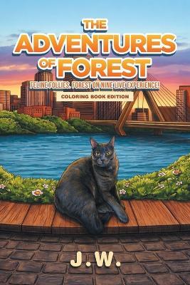 The Adventures of Forest - Jonathan Winchell - cover