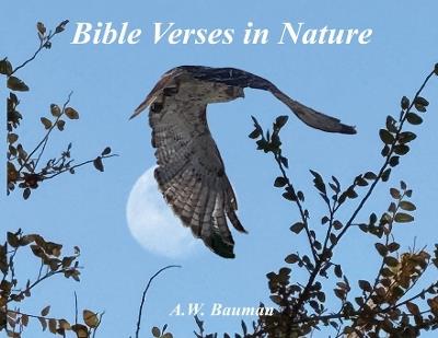 Bible Verses in Nature - Andrew Bauman - cover