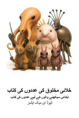 خلائی مخلوق کی عددوں کی کتاب: ابتدائی سیکھنے والوں کے لیے عددوں کی کتاب - David E McAdams - cover