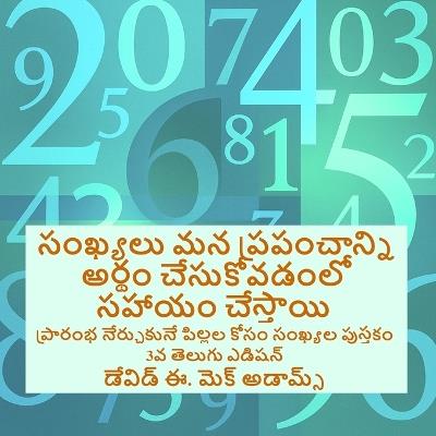 సంఖ్యలు మన ప్రపంచాన్ని అర్థం చేసుకోవడంలో: ప్రారంభ నేర్చుకునే పిల్లల కోసం సంఖ్యల పుస - David E McAdams - cover