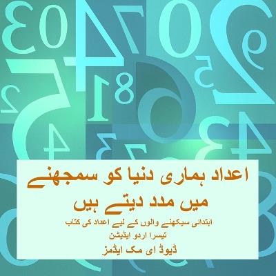 اعداد ہماری دنیا کو سمجھنے میں مدد دیتے ہیں: ابتدائی سیکھنے والوں کے لیے اعداد کی کتاب - David E McAdams - cover