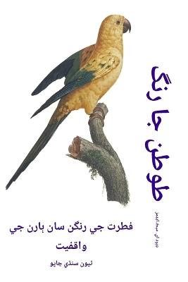 طوطن جا رنگ: فطرت جي رنگن سان ٻارن جي واقفيت - David E McAdams - cover