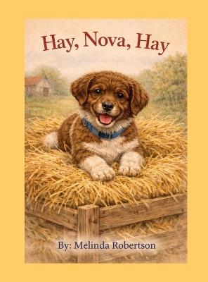 Hay, Nova, Hay - Melinda Robertson - cover