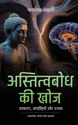अस्तित्वबोध की खोज: उपकरण, अंतर्दृष्टियाँ और प्रभाव - Flavia Ceccato - cover