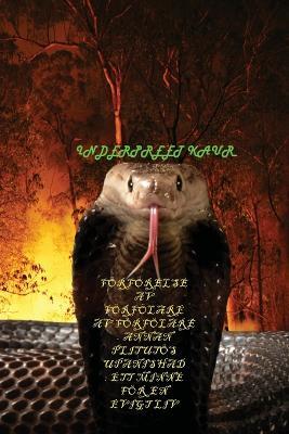 Foerfoerelse AV Foerfoelare AV Foerfoelare - Annan Plitutoes Upanishad - Inderpreet Kaur - cover