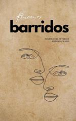 Rincones barridos: Poesías del interior