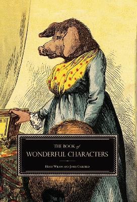 The Book of Wonderful Characters: Memoirs and Anecdotes of Remarkable and Eccentric Persons in All Ages and Countries - Henry Wilson,James Caulfield - cover
