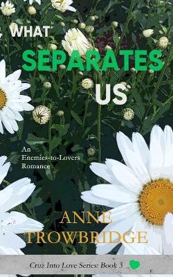 What Separates Us: An Enemies-to-Lovers Romance - Anne Trowbridge - cover