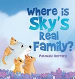 Where Is Sky's Real Family?