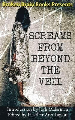 Screams From Beyond The Veil: A Horror Anthology - Heather Ann Larson,Philp Fracassi - cover